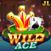 wild ace arion app slot